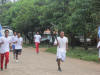 desfile