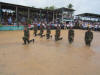 desfile