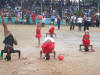desfile